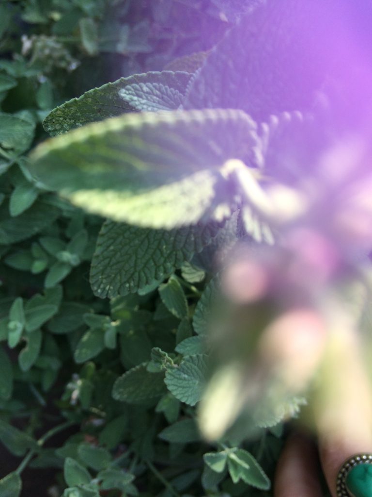 Dazzling Blue, Roses Red: Saying Goodbye To My&nbsp;Grandad.