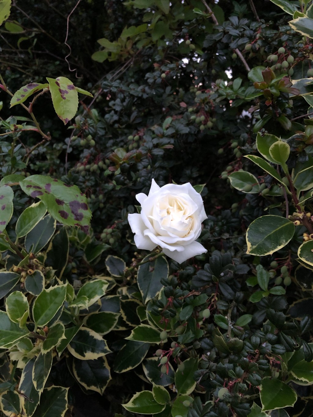 My True Year Of Grief & Growth: Reflecting On All 2023 Gave Me in&nbsp;Leeds