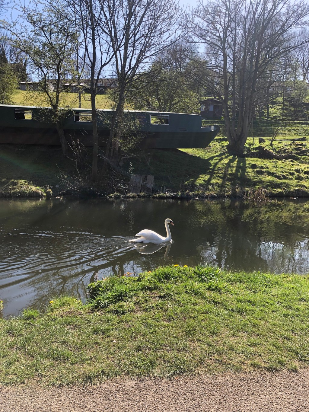 Reasons I Came Back To Life in 2025